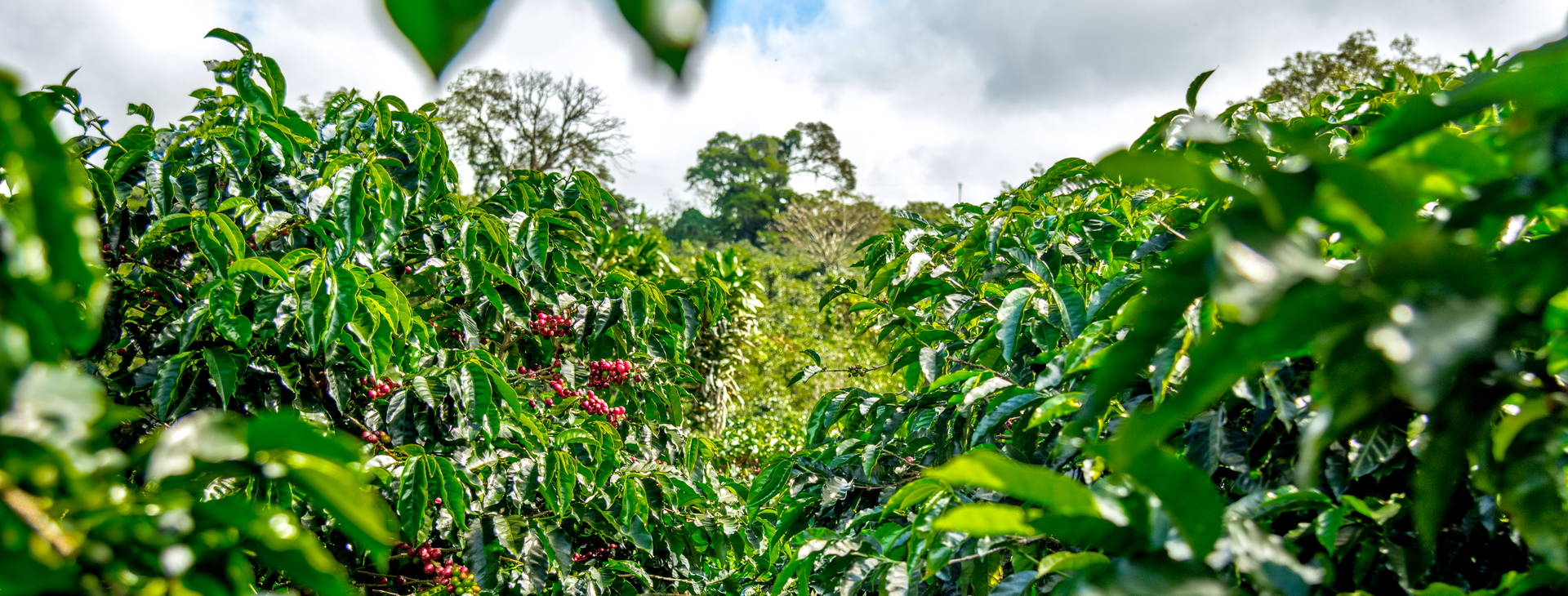 Ubytování PKN Obrázok17