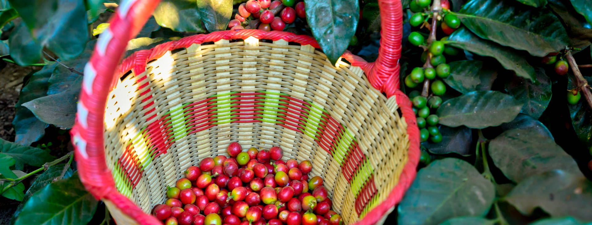 Ubytování PKN Obrázok27