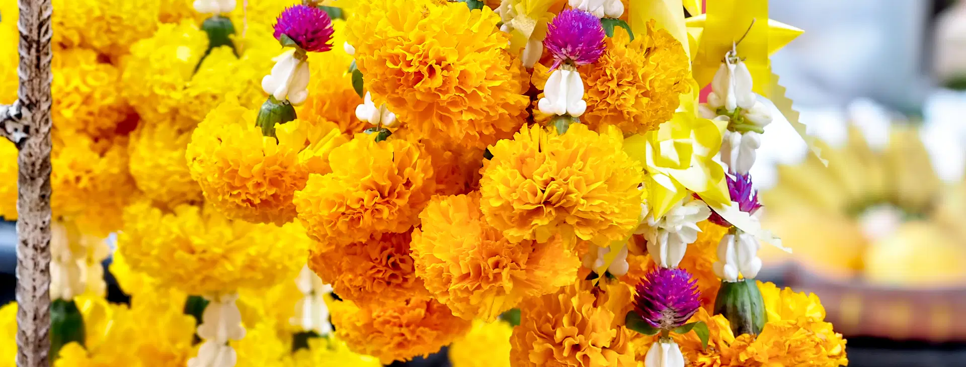 Ubytování TKW Obrázok22