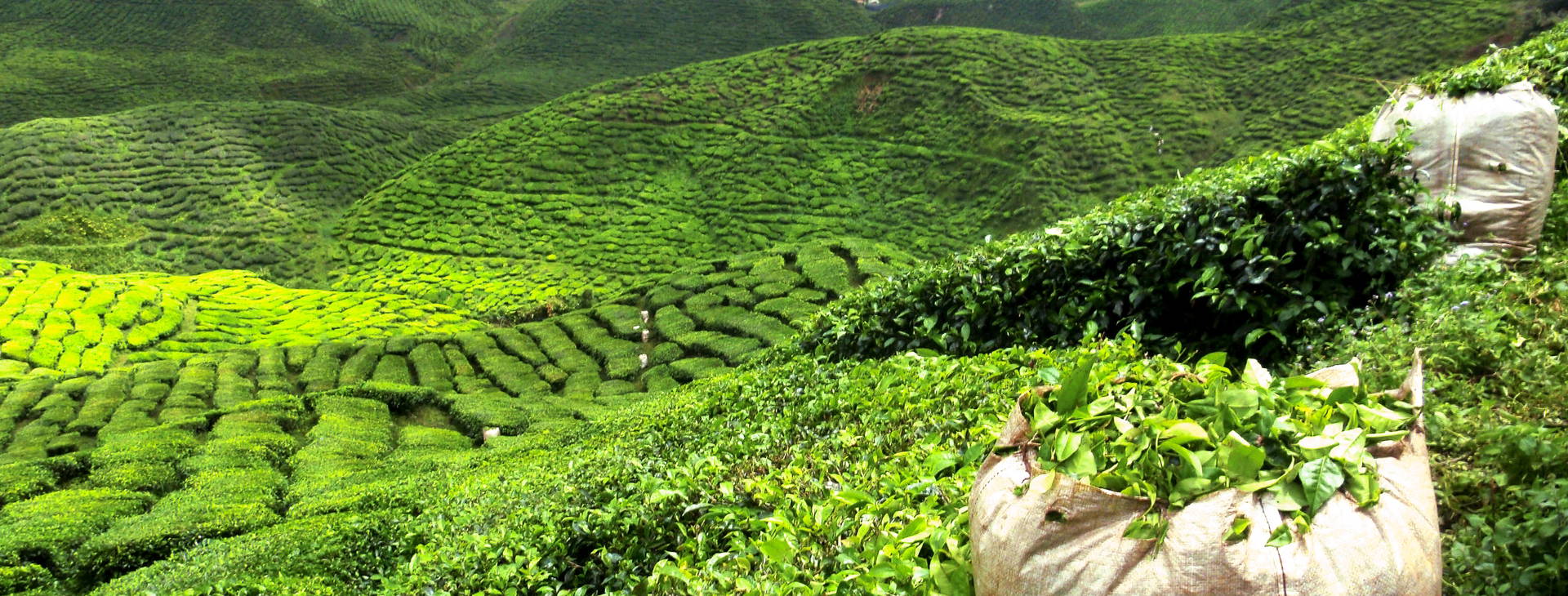 Ubytování SLR Obrázok1