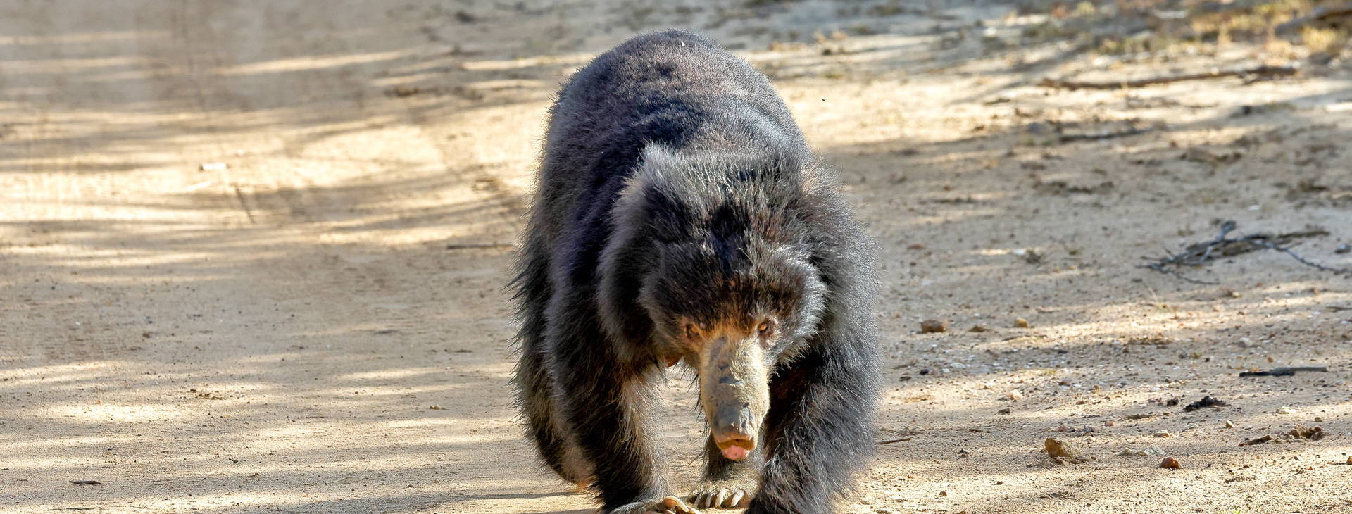 Ubytování SLR Obrázok5