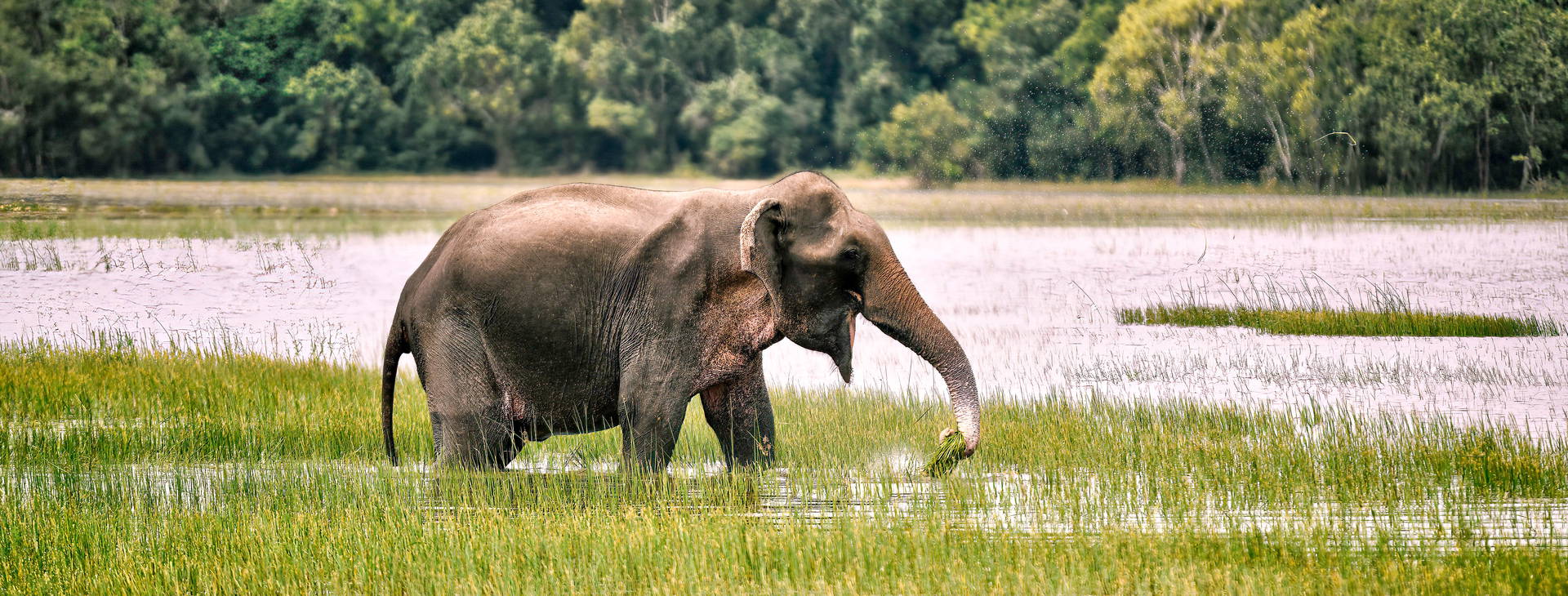 Ubytování SLR Obrázok3