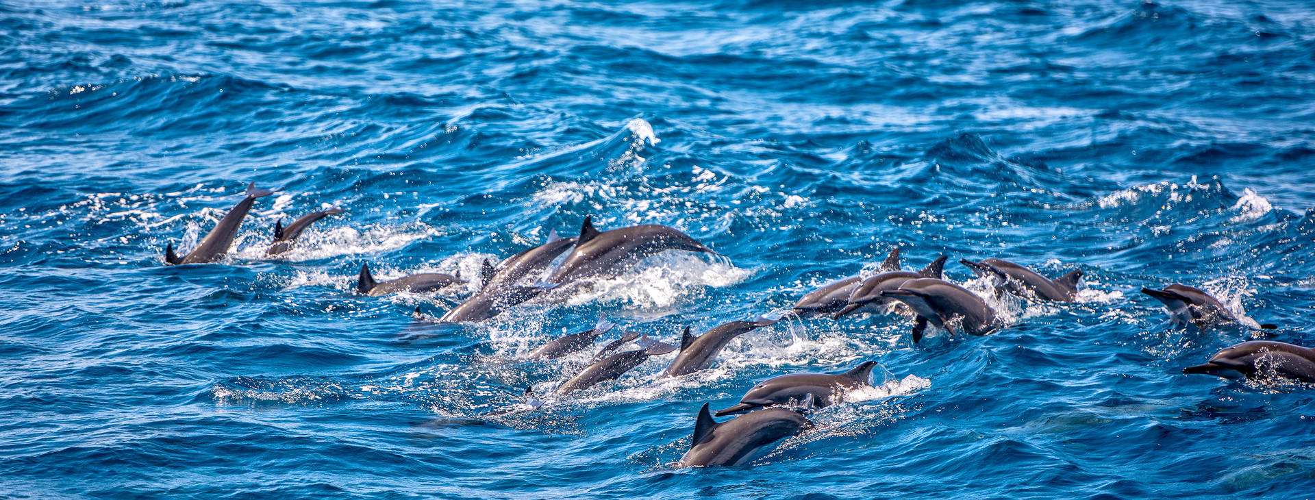 Ubytování SLR Obrázok4