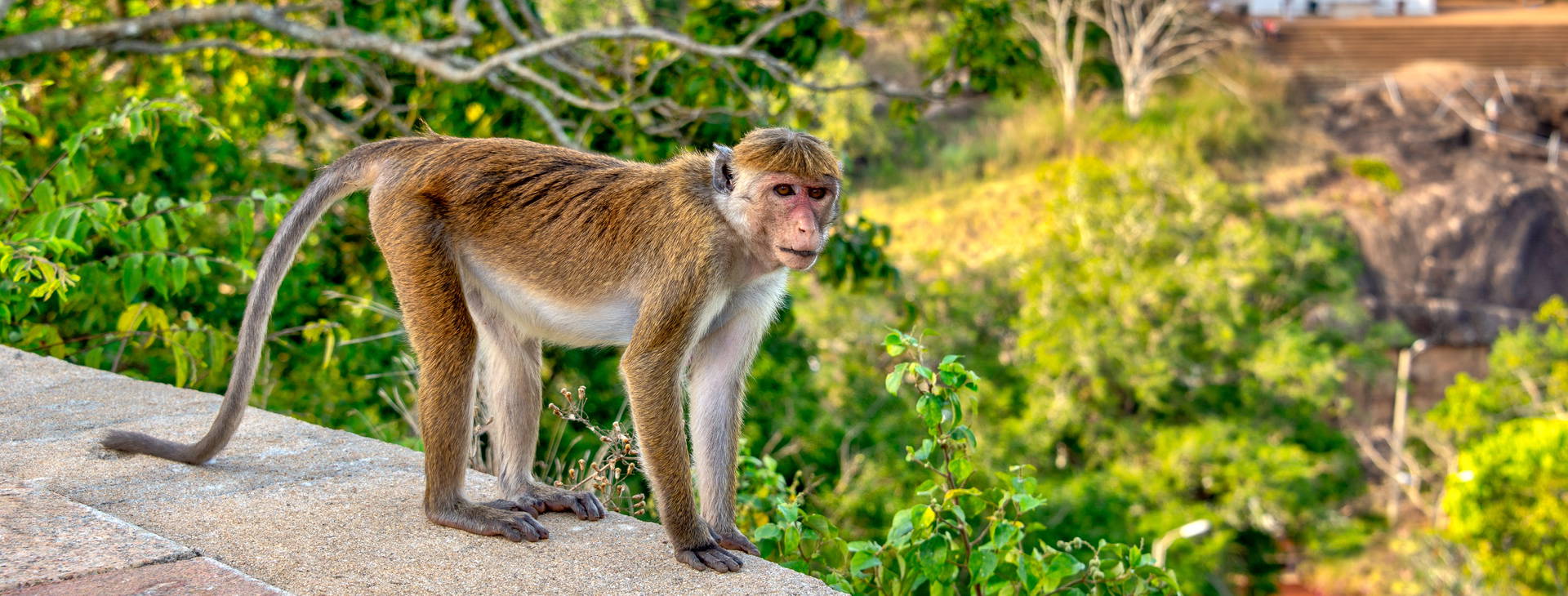 Ubytování SLR Obrázok16