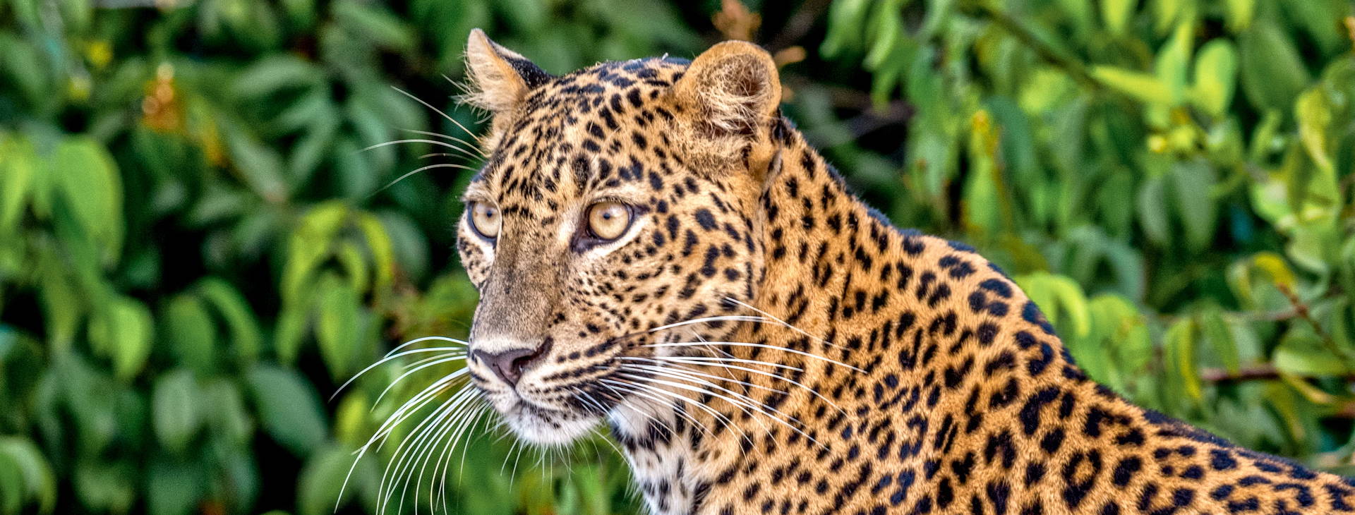 Ubytování SLR Obrázok19