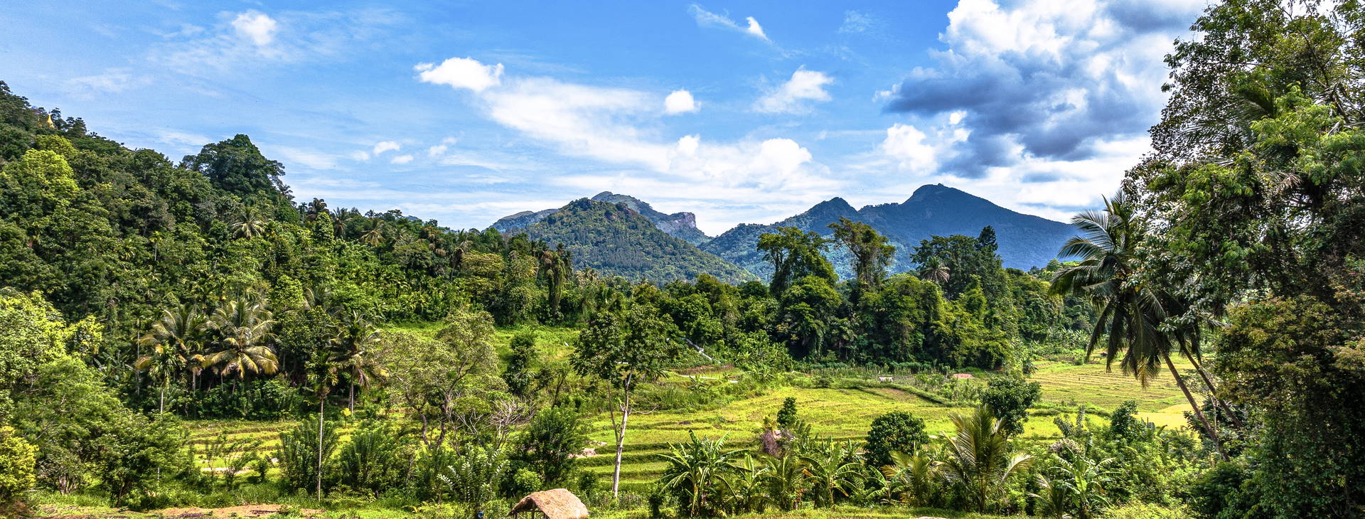 Ubytování SLR Obrázok8