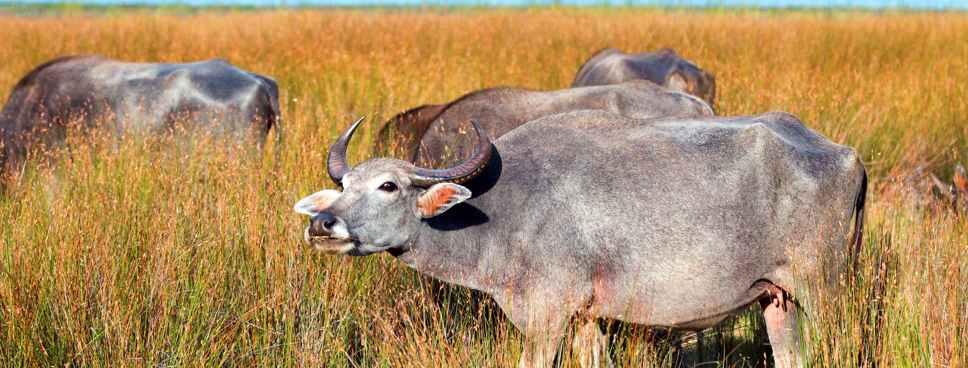 Ubytování SLR Obrázok23