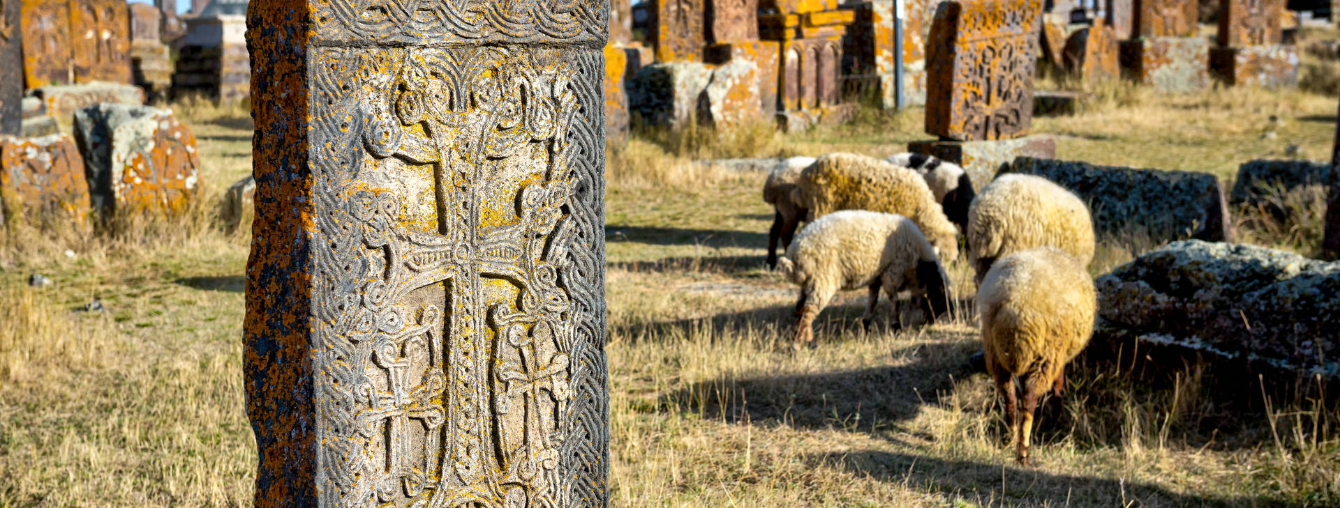 Ubytování ARM Obrázok10