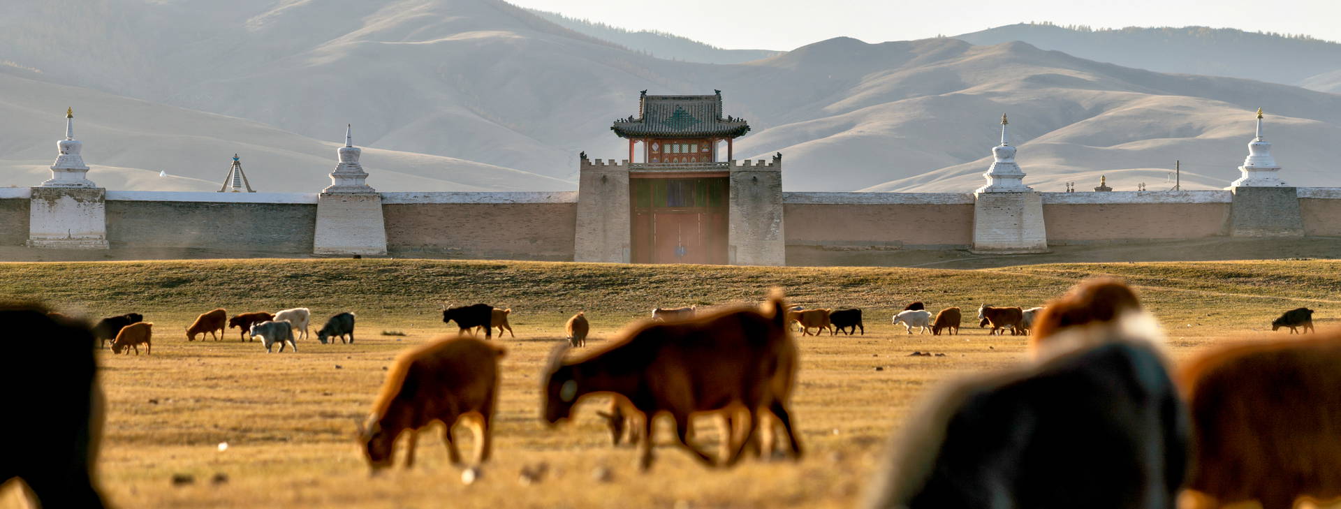 Ubytování MOL Obrázok13