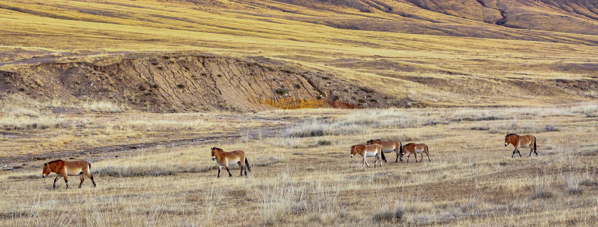 Ubytování MOL Obrázok3