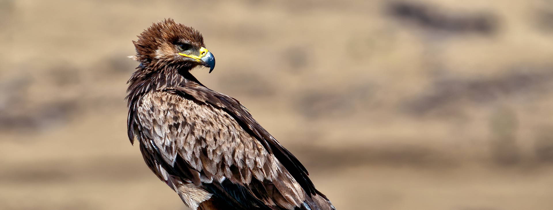 Ubytování ETC Obrázok28