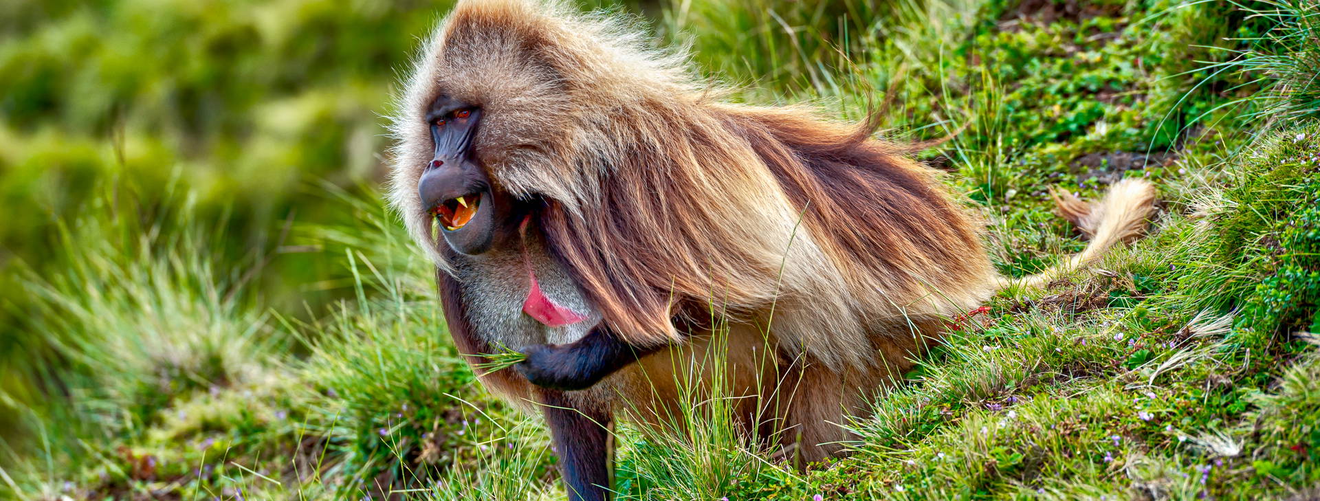 Ubytování ETC Obrázok18