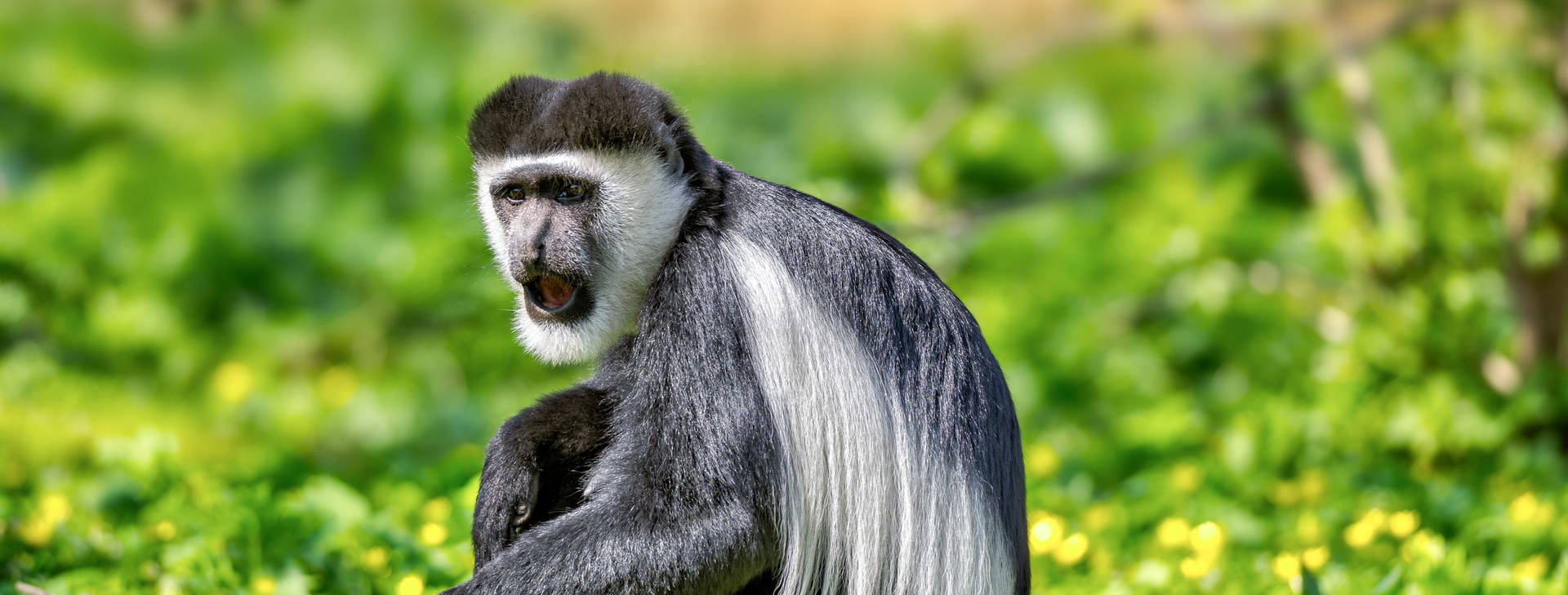 Ubytování ETC Obrázok37