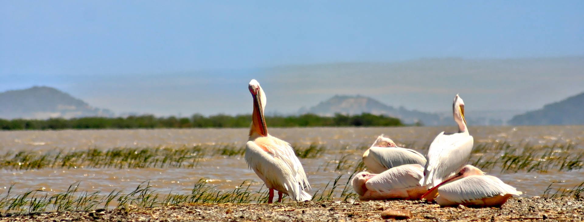 Ubytování ETC Obrázok41