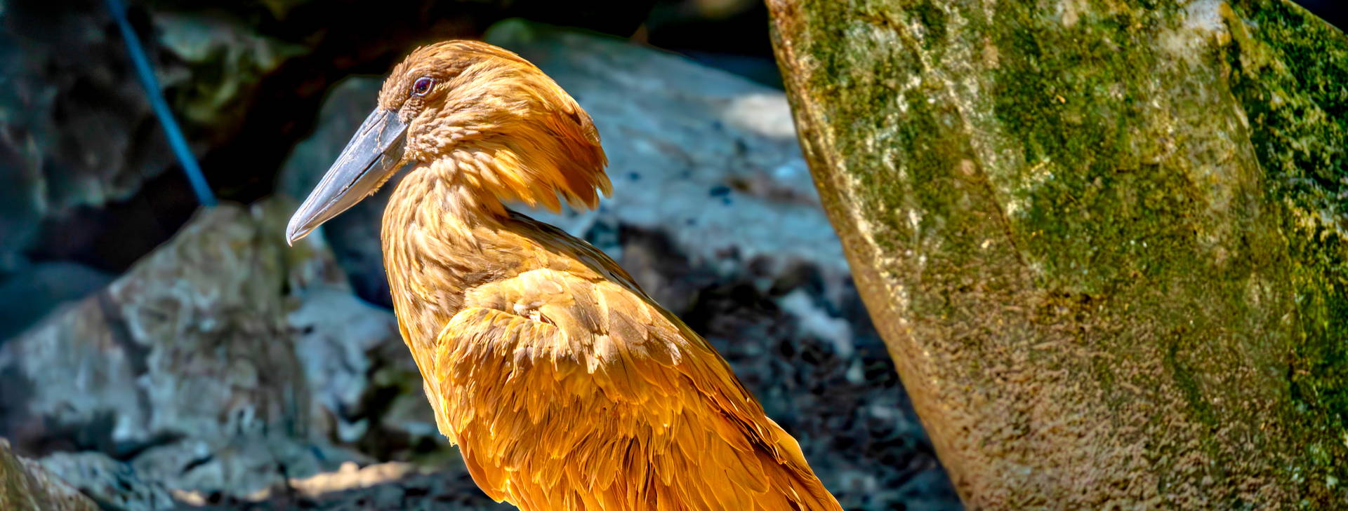 Ubytování ETC Obrázok40