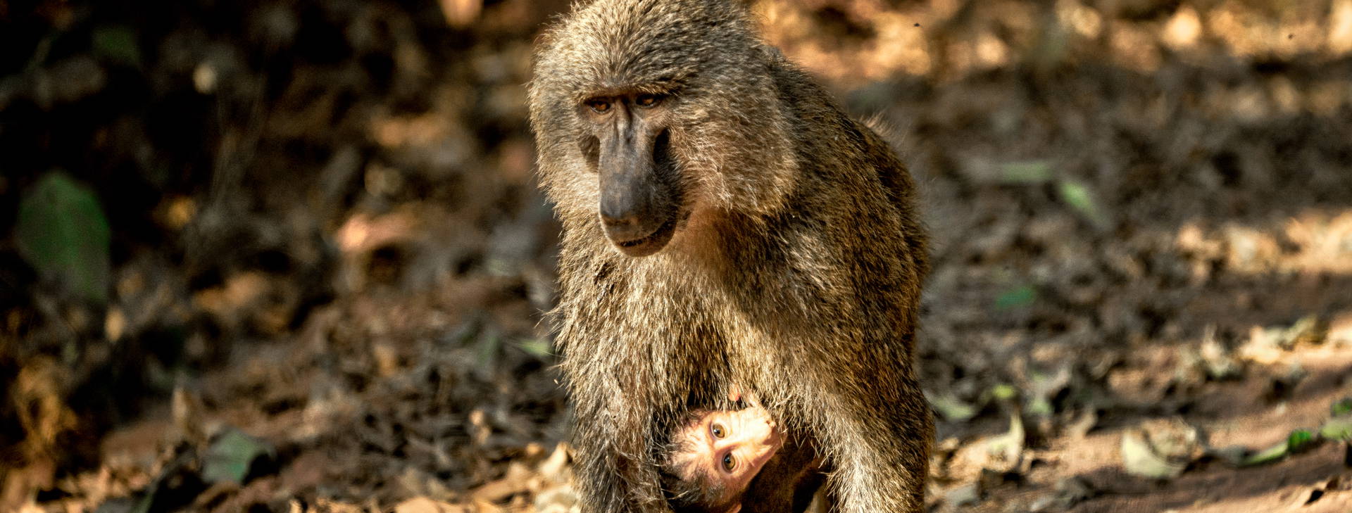 Ubytování ETC Obrázok48