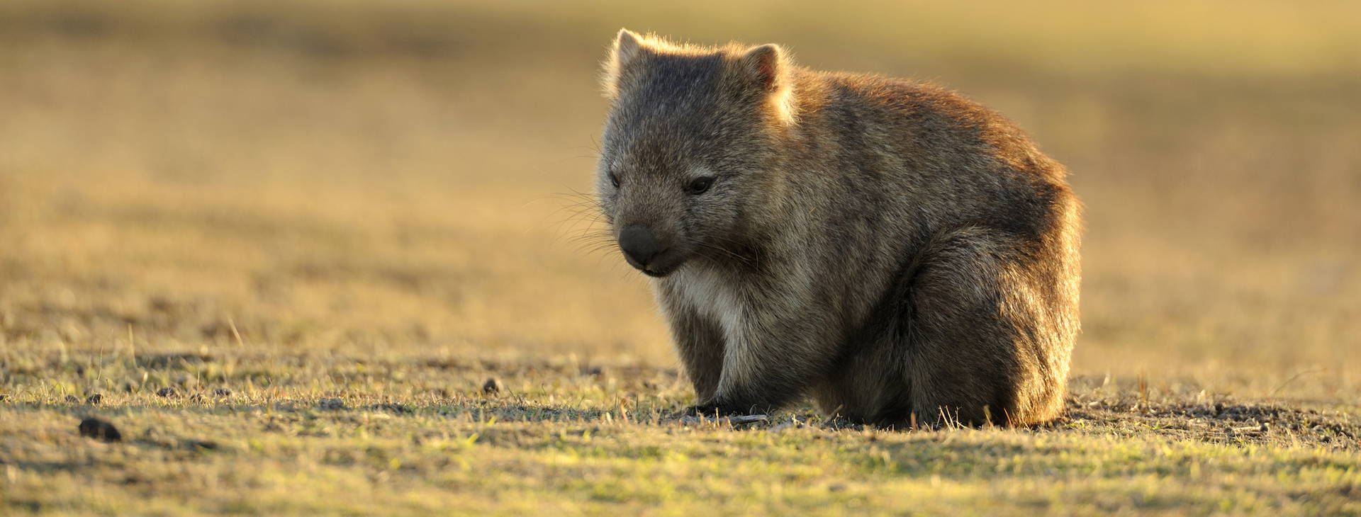 Ubytování AUZ Obrázok3