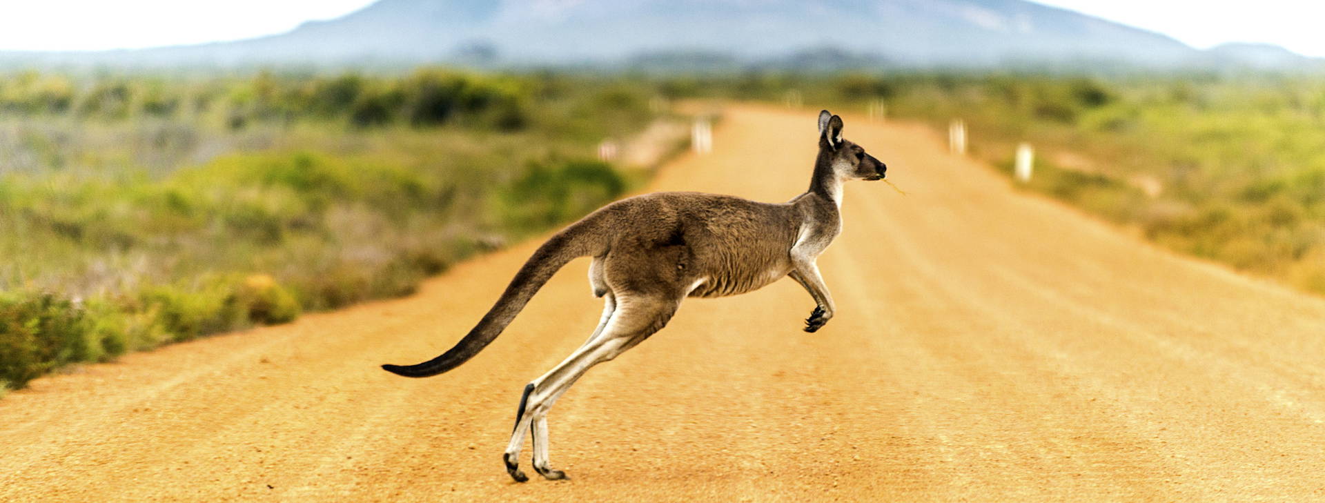 Ubytování AUZ Obrázok0