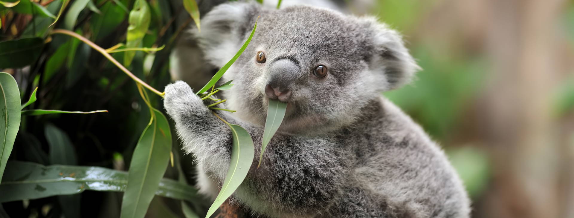 Ubytování AUZ Obrázok9