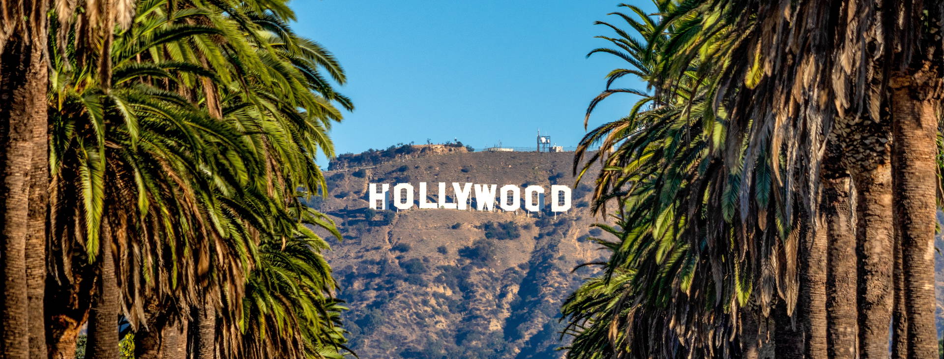 Ubytování LAM (Karneval Firenze) Obrázok2