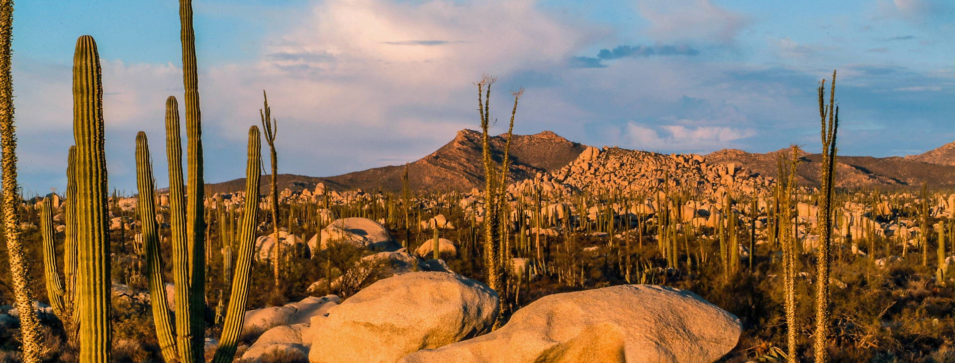 Ubytování LAM (Karneval Firenze) Obrázok23