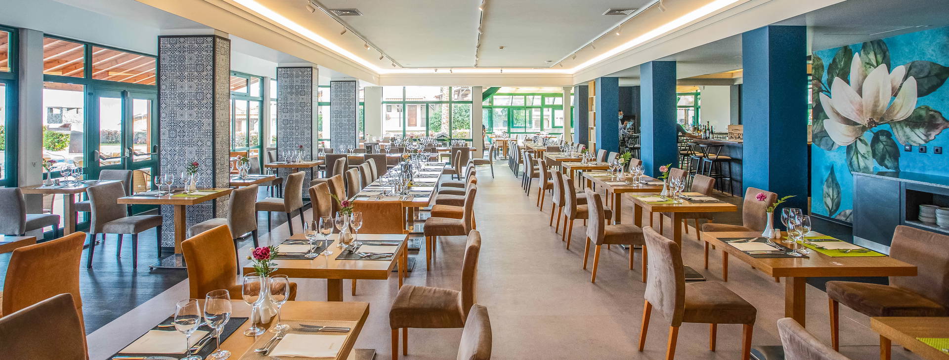 Sentido Galosol Obrázok14