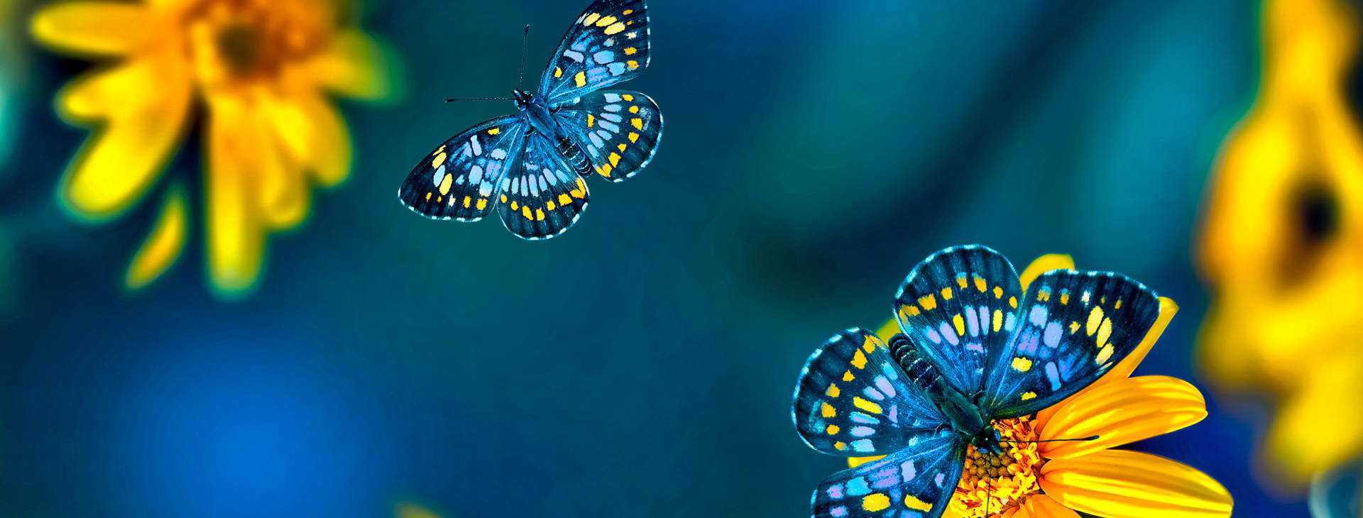 ﻿Ubytování ECU Obrázok5