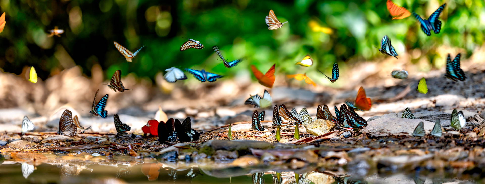 ﻿Ubytování ECU Obrázok12