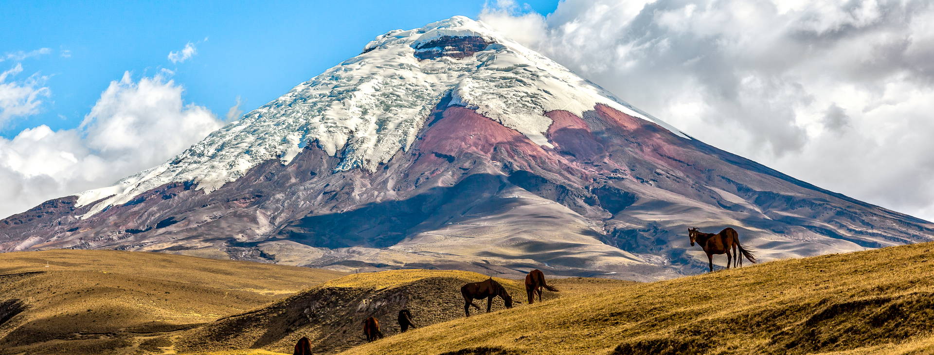﻿Ubytování ECU Obrázok16