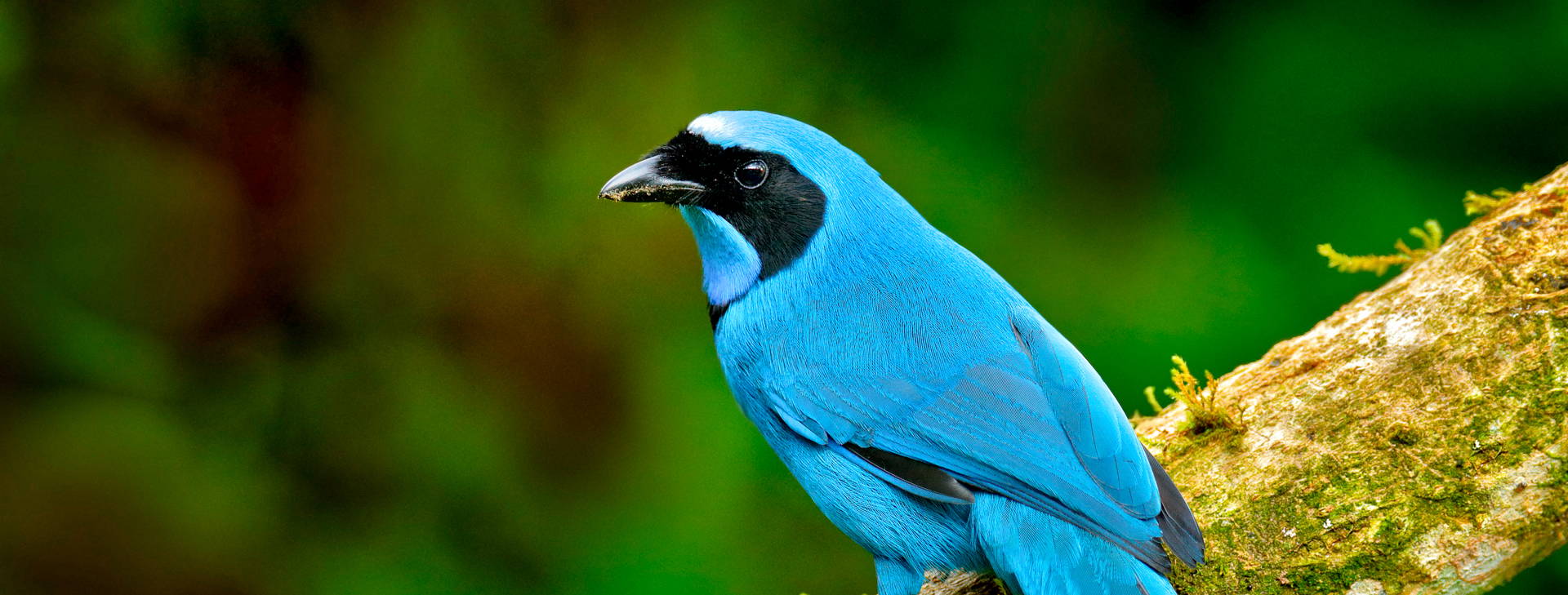 ﻿Ubytování ECU Obrázok20