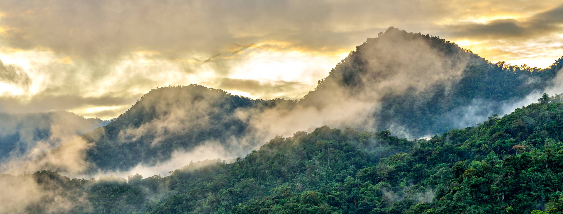 ﻿Ubytování ECU Obrázok31