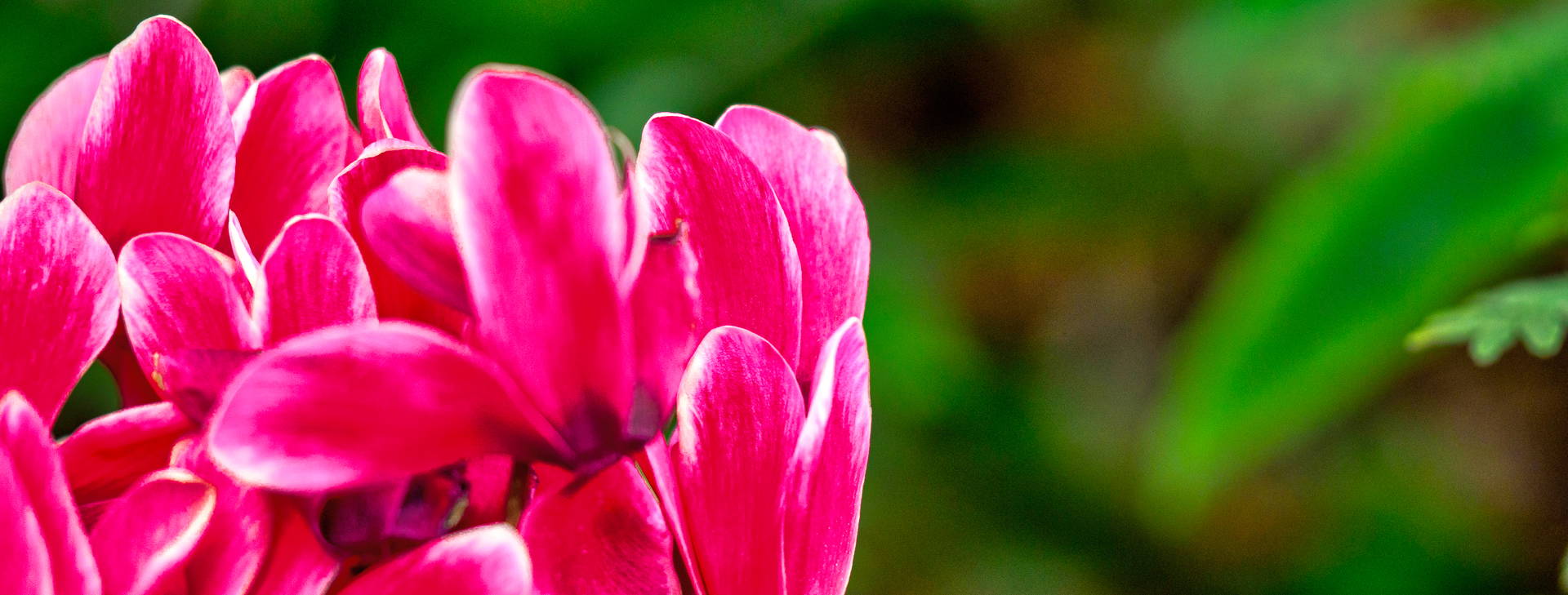 ﻿Ubytování ECU Obrázok28