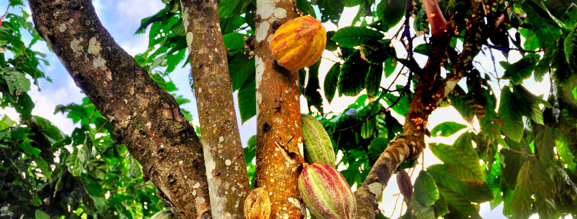 ﻿Ubytování ECU Obrázok34