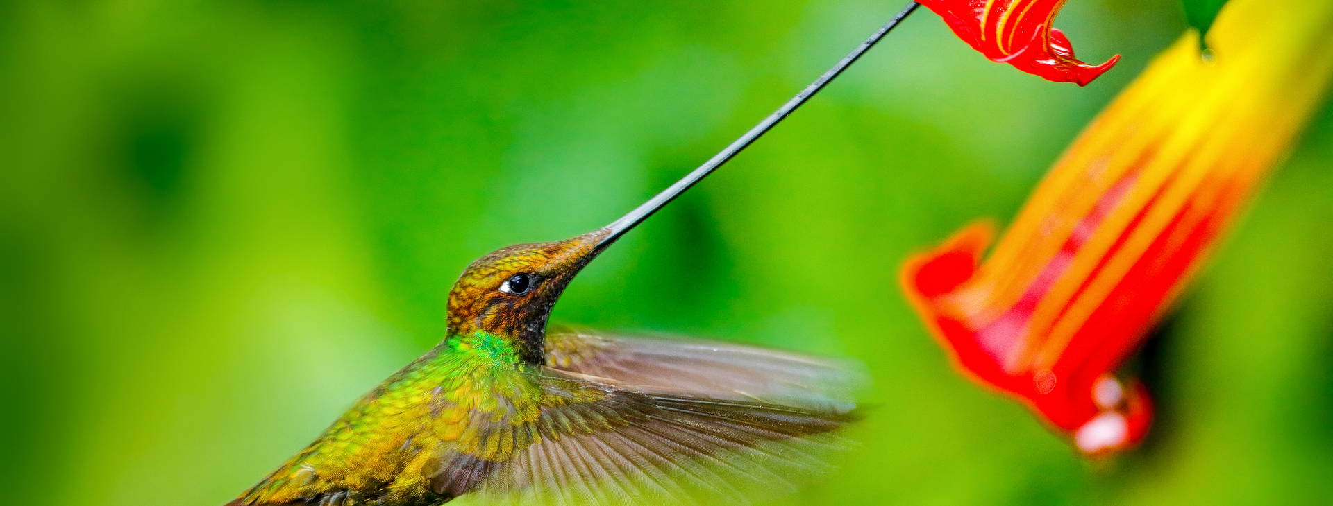 ﻿Ubytování ECU Obrázok29