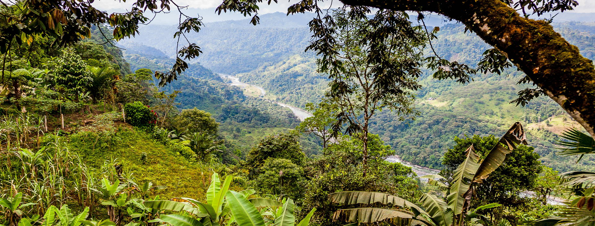 ﻿Ubytování ECU Obrázok33