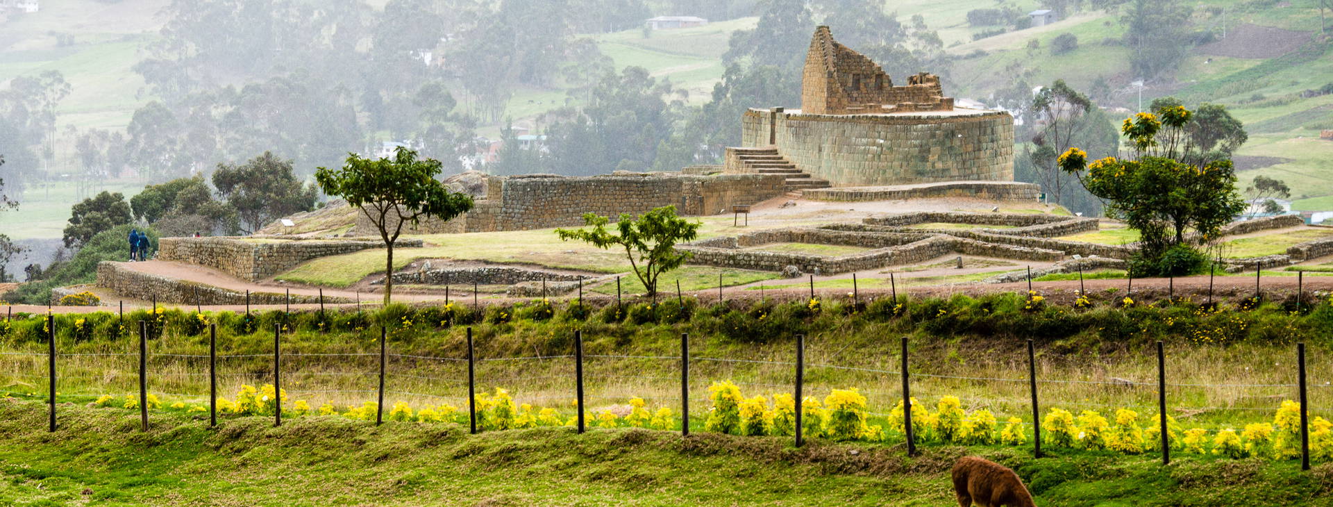 ﻿Ubytování ECU Obrázok37