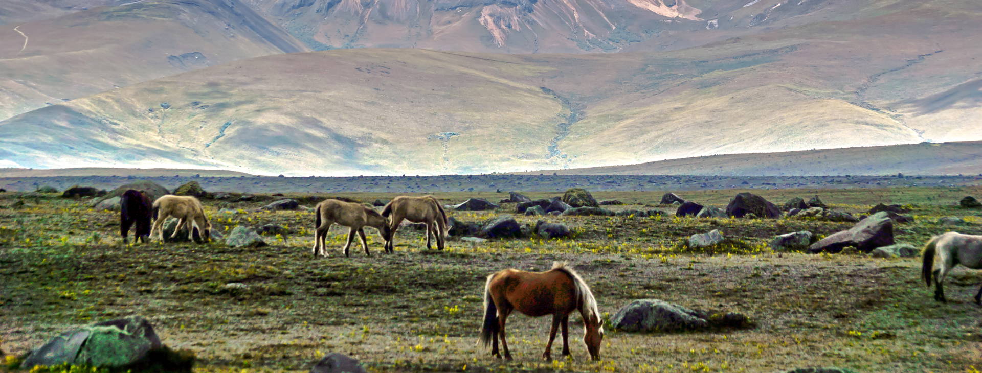 ﻿Ubytování ECU Obrázok38