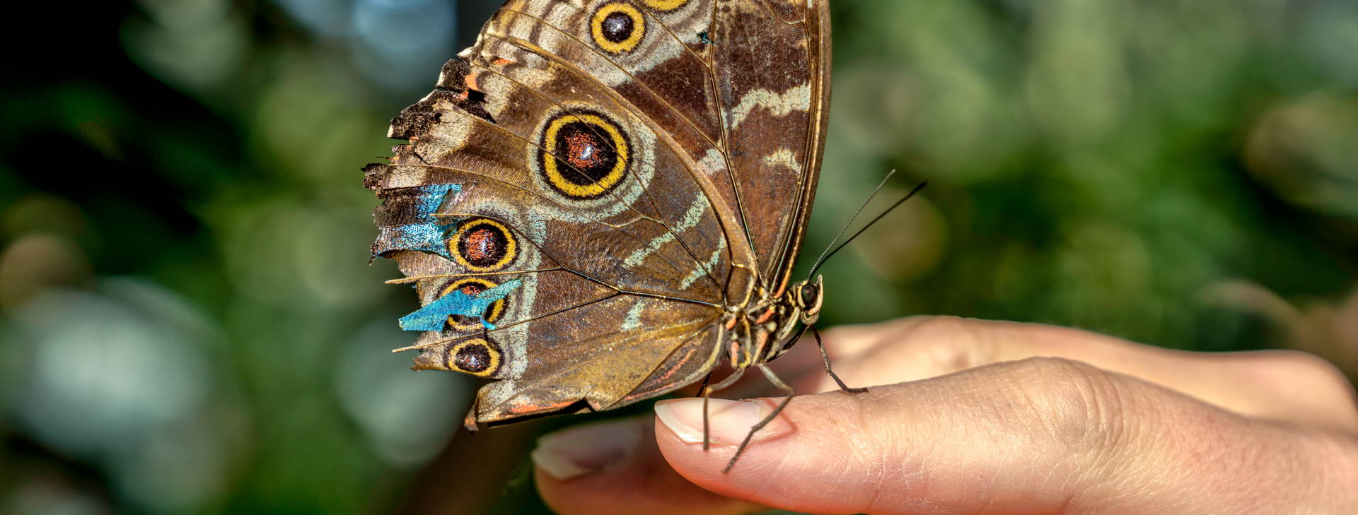 ﻿Ubytování ECU Obrázok44