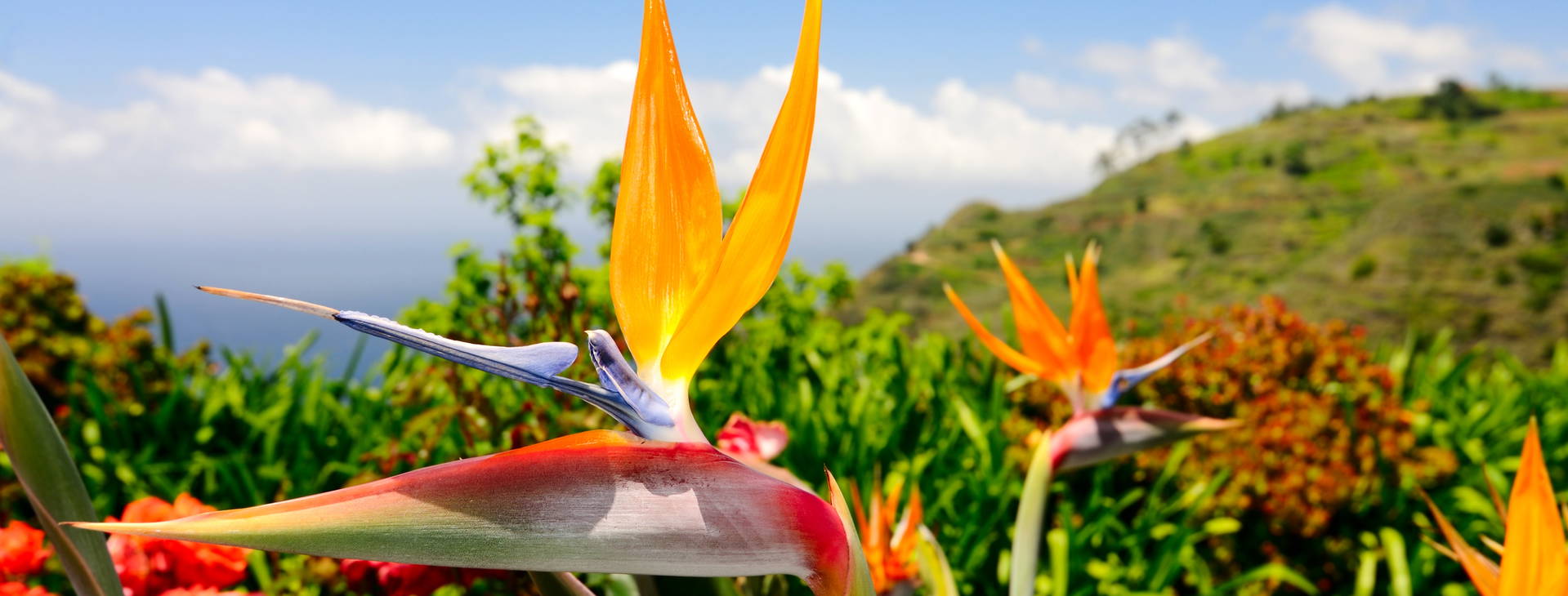 Ubytování MTL Obrázok11