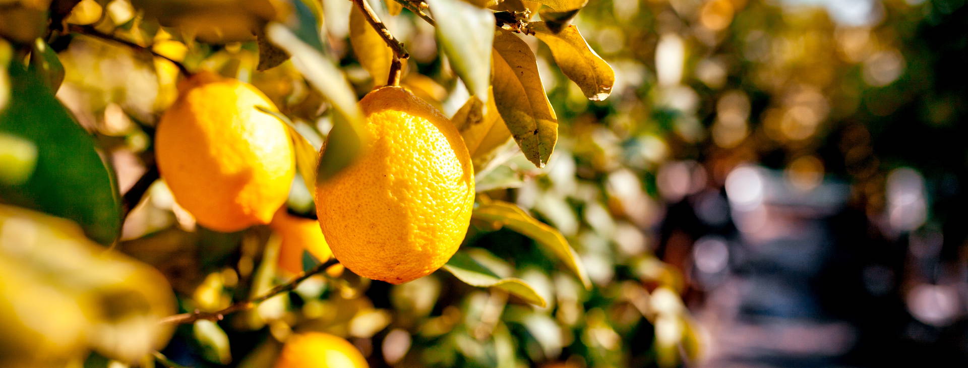 Ubytování NPC Obrázok5