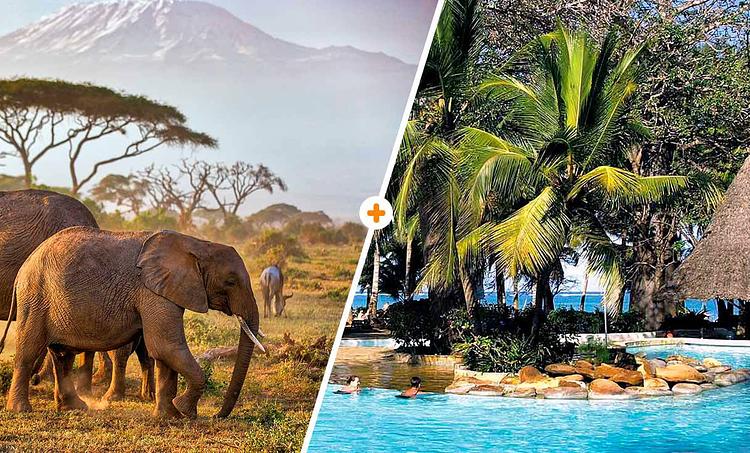 Papillon Lagoon Reef KSS-obr