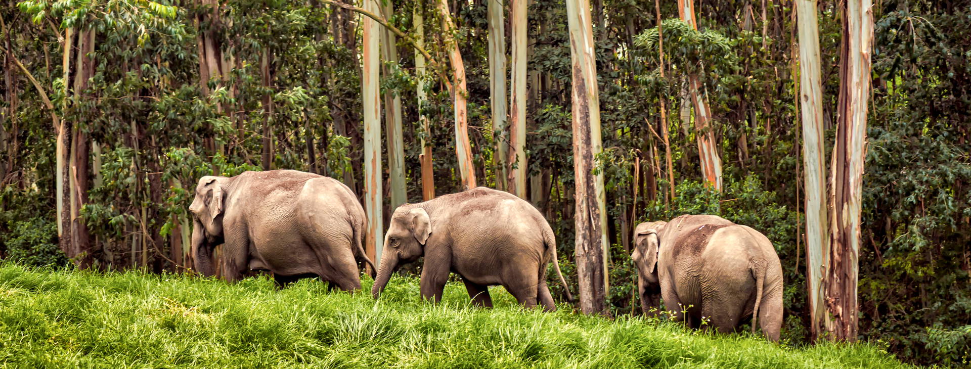 Ubytování IGP Obrázok13