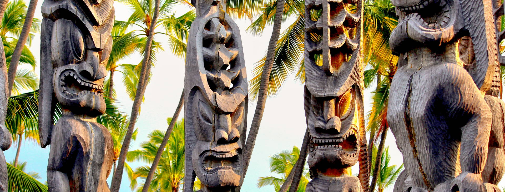 Ubytování HAI (Pride of America) Obrázok2