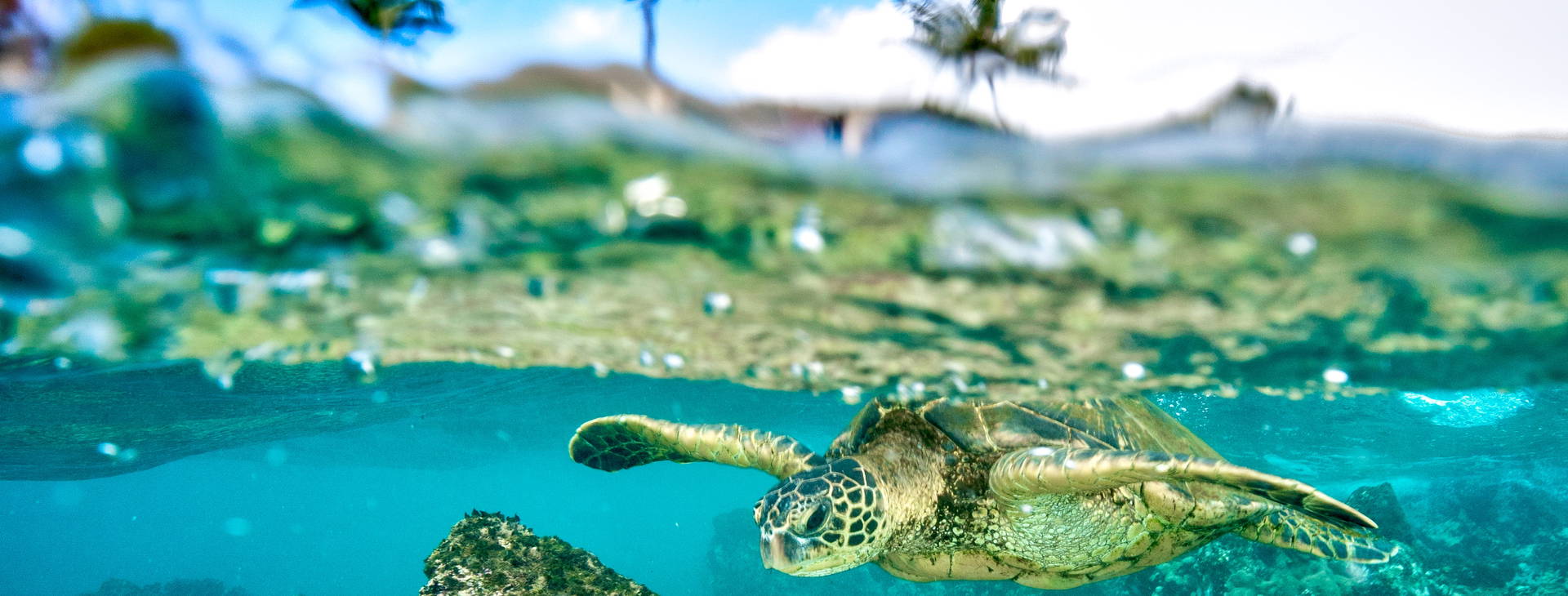 Ubytování HAI (Pride of America) Obrázok7