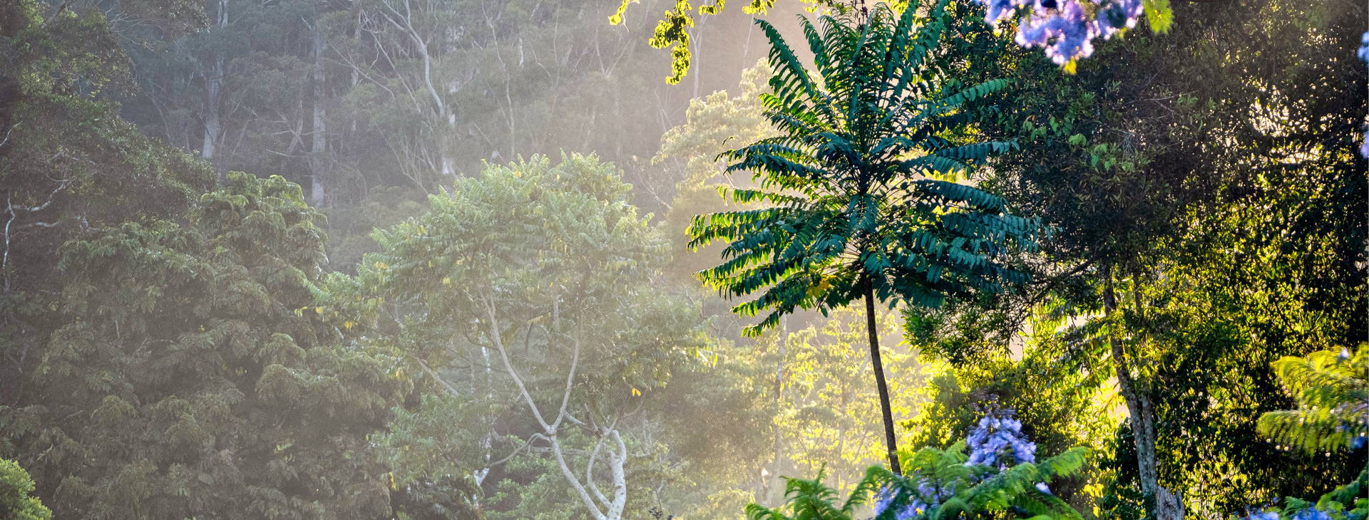 Ubytování HAI (Pride of America) Obrázok10