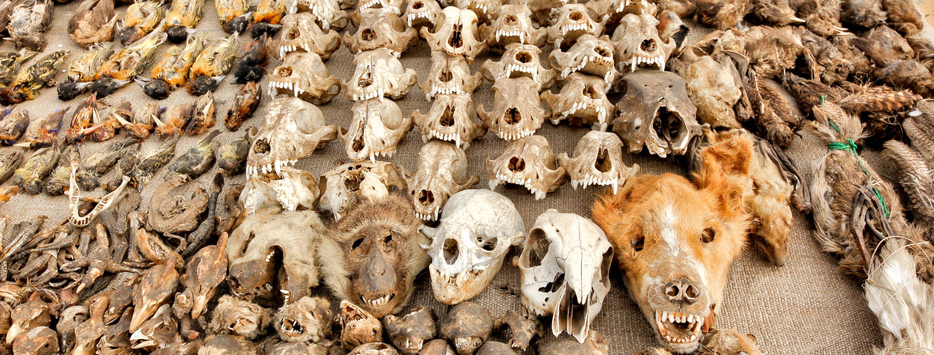 Ubytování BNT Obrázok10