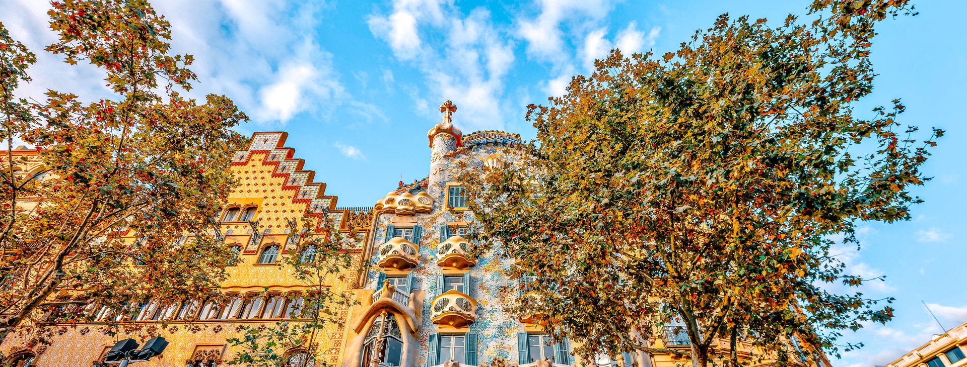 Ubytování RBW (MSC World Europe) Obrázok23