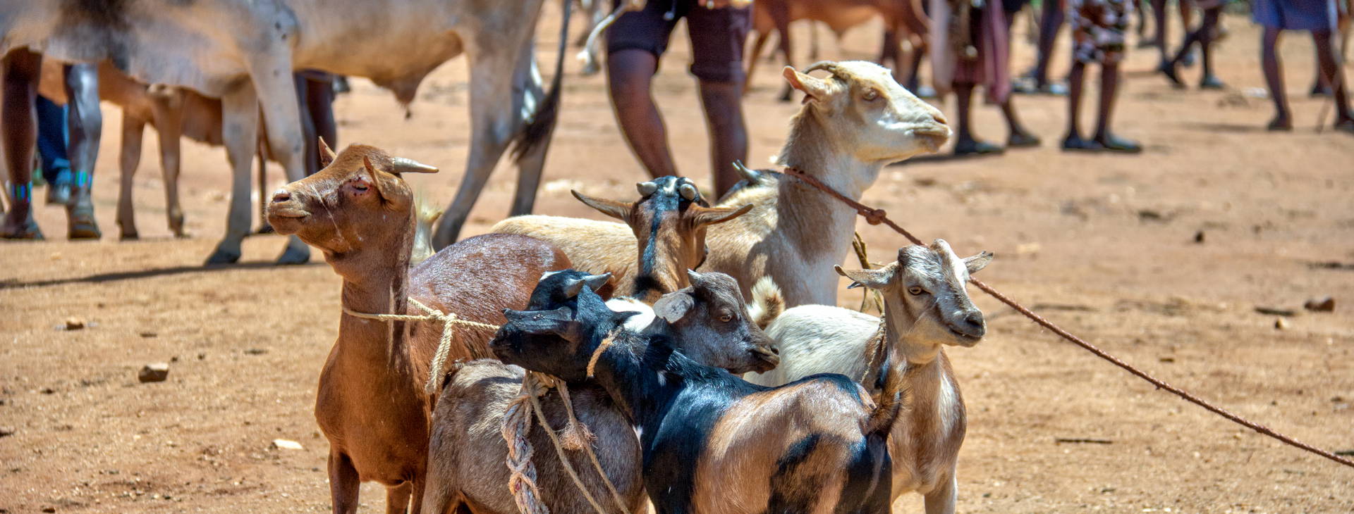 Ubytování ETP Obrázok32