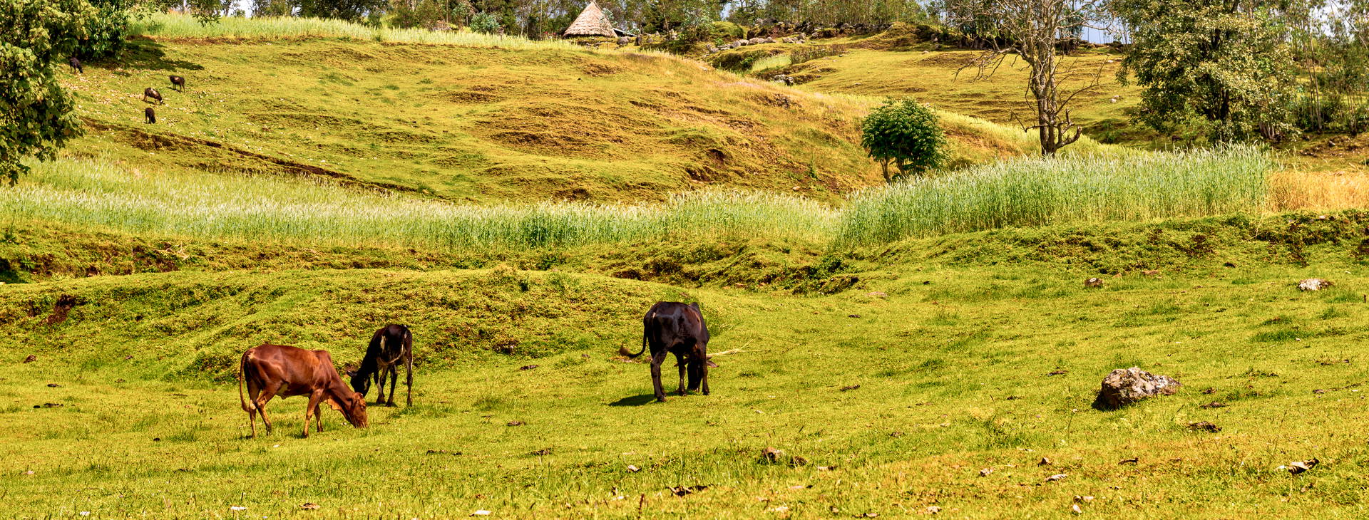 Ubytování ETP Obrázok28