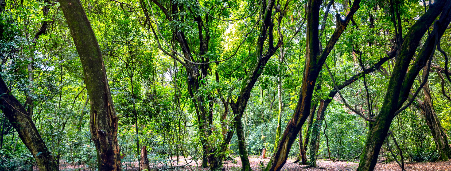 Ubytování ETP Obrázok35